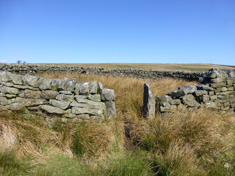 sheepfold-beside-the-cocker-burn-russel-wills-cc-by-sa-2-0