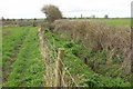 Path and drain, South Moor