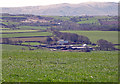 Field near Penrallt Uchaf, St Dogmaels