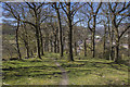 Pen y Coed in springtime