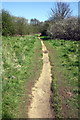 SP4542 : Footpath through woodland following lifted mineral railway by Roger Templeman