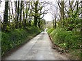 SX7662 : Lane from Staverton to Willing Cross by David Gearing