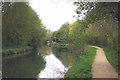 Bend in the River Stort