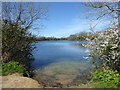 Neigh Bridge Lake, Neigh Bridge Country Park