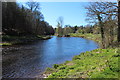 The River Ayr