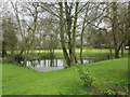 Pond by the Old Rectory