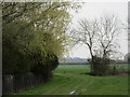 Footpath to Cocks Green Lane