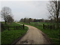 Track to Great Welnetham