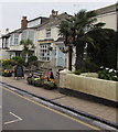 Clifford Arms, Shaldon