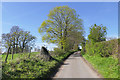 The road to Bridge End Farm