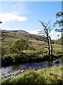 Din Fell and the Hermitage Water