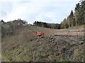 SJ2505 : Clear felling in the woods of the Leighton Park Estate by Jeremy Bolwell