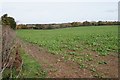SU4739 : Farmland south of Wonston by Mr Ignavy