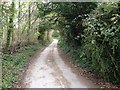 Hermitage Lane, Detling