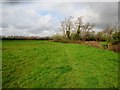 Footpath to Hains Cottages