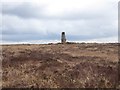 N2704 : Trig pillar on Wolftrap Mountain by Oliver Dixon