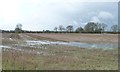 SE5659 : Partially flooded stubble field, north of Corban Lane by Christine Johnstone