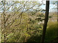 View over dog walking track, Westcroft Road