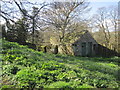 Disused Pig Sty and "Netty"