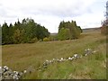 Power line, Ewesdale