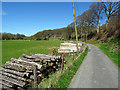 Timber stack beside the Ystwyth Trail