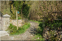 SX4871 : Bridleway to West Down and Double Waters by Guy Wareham