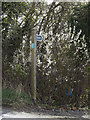 Footpath sign off the B1078 Lower Road