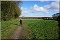 Path near The Elms, Garforth