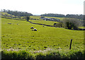 Looking south-southwest from Tynings Lane