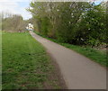 ST1479 : Footpath and cycleway through the eastern edge of Hailey Park, Llandaff North, Cardiff by Jaggery