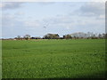 View towards Arglam Farm