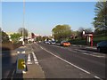 New cycle superhighway on Armley Road, Leeds