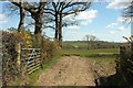 Field east of Brendon