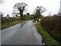 A damp afternoon near Haughton