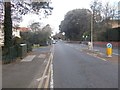 West Cliff Road - viewed from Clarendon Road