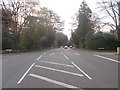 West Cliff Road - viewed from Clarendon Road