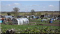 Allotment gardens, Ellistown