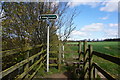 Path leading to Hayton Wood