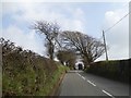 Trees shaped by the wind north of Cherry Cross