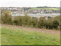 The North Downs Way near Longhoes Wood