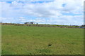 Farmland near Haplandmuir