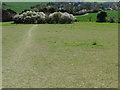 TQ8455 : The North Downs Way approaching Hollingbourne by Dave Kelly