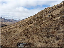 NN0599 : On the steep hillside of Druim na Geid Salaich by Richard Law