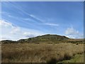 Looking up at Castle Bank