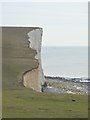 TV5396 : Cliff, Falstaff Point by N Chadwick