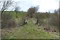 Farm Track over Railway