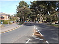 Gervis Road - viewed from near Grove Road