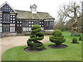 SD4616 : Topiary, Rufford Old Hall garden by David Hawgood