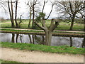 SD4615 : Pollarded tree by canal, Rufford Old Hall by David Hawgood