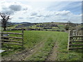 SO3687 : Field gate near Billings Ring by Jeremy Bolwell